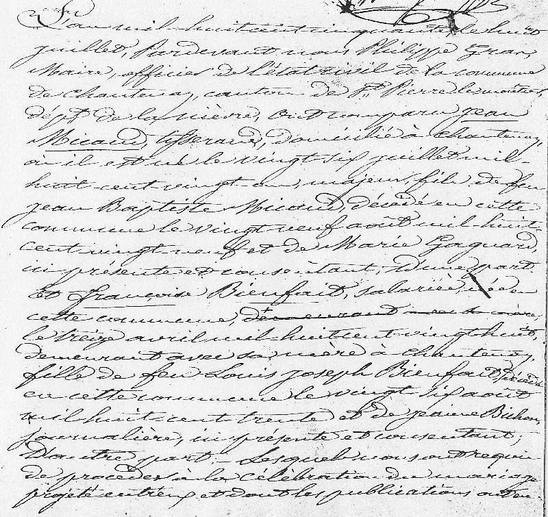 Haut mC Bienfait x Micaud 1850.jpg